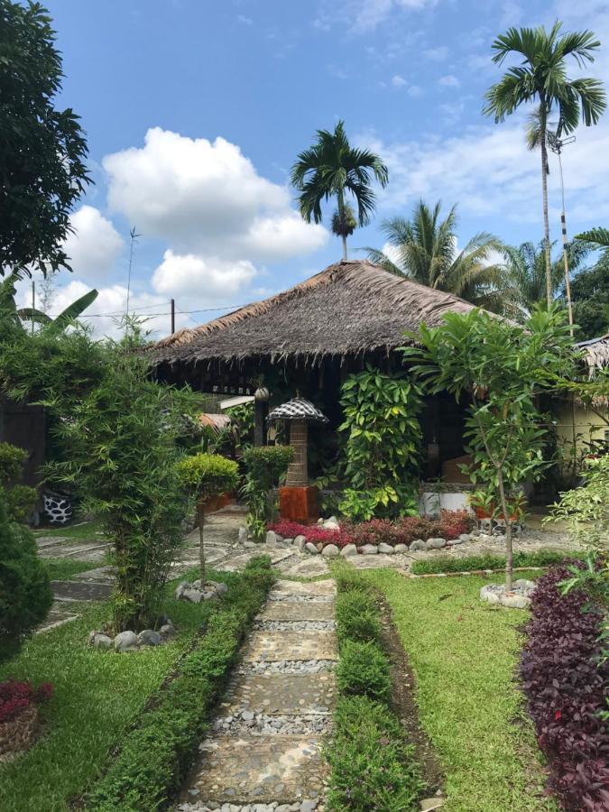 Villa Paradise Bukit Lawang Luaran gambar